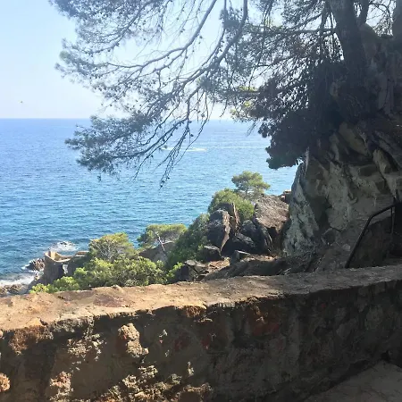 Ingrid Costa Brava *