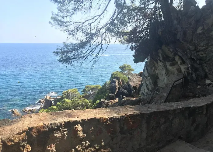Ingrid Costa Brava *
