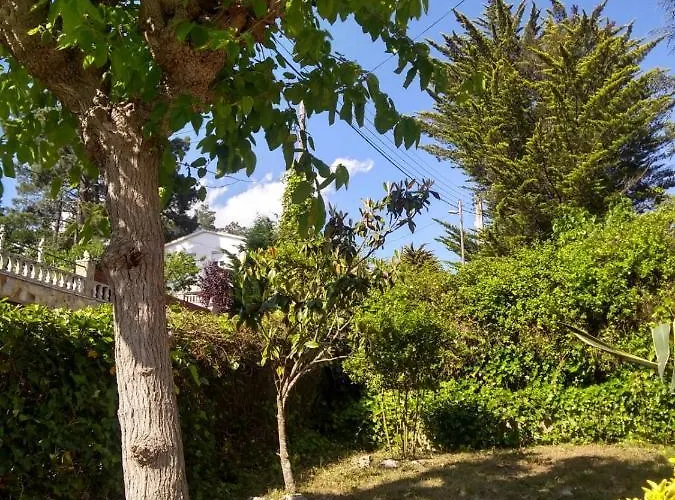Ingrid Costa Brava فيدريريس