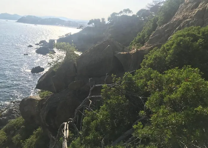 Ingrid Costa Brava فيدريريس