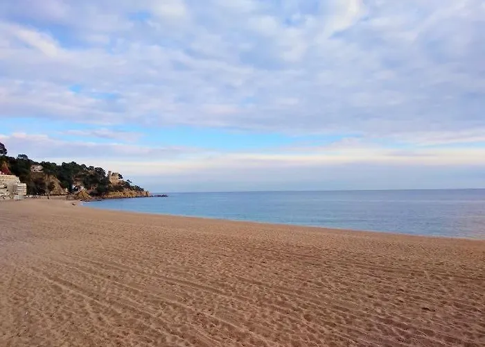 Ingrid Costa Brava فيلة فيدريريس