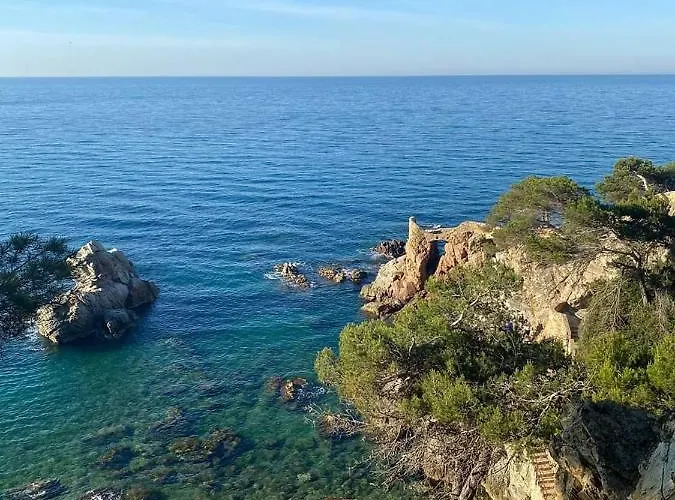 Ingrid Costa Brava فيدريريس